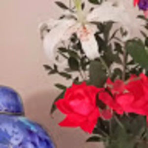 Meet your Posher, Ellen